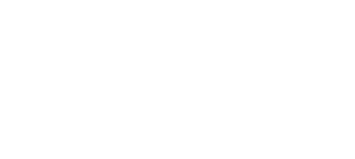 Love Story Wedding Agency logo